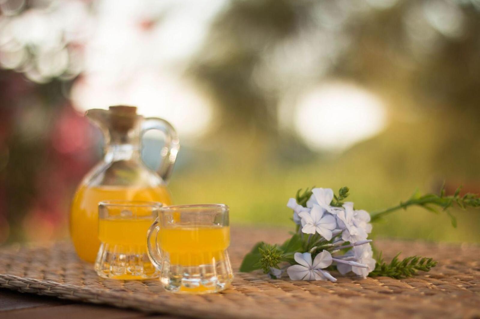 Sunrock Suites Stelida  Dış mekan fotoğraf