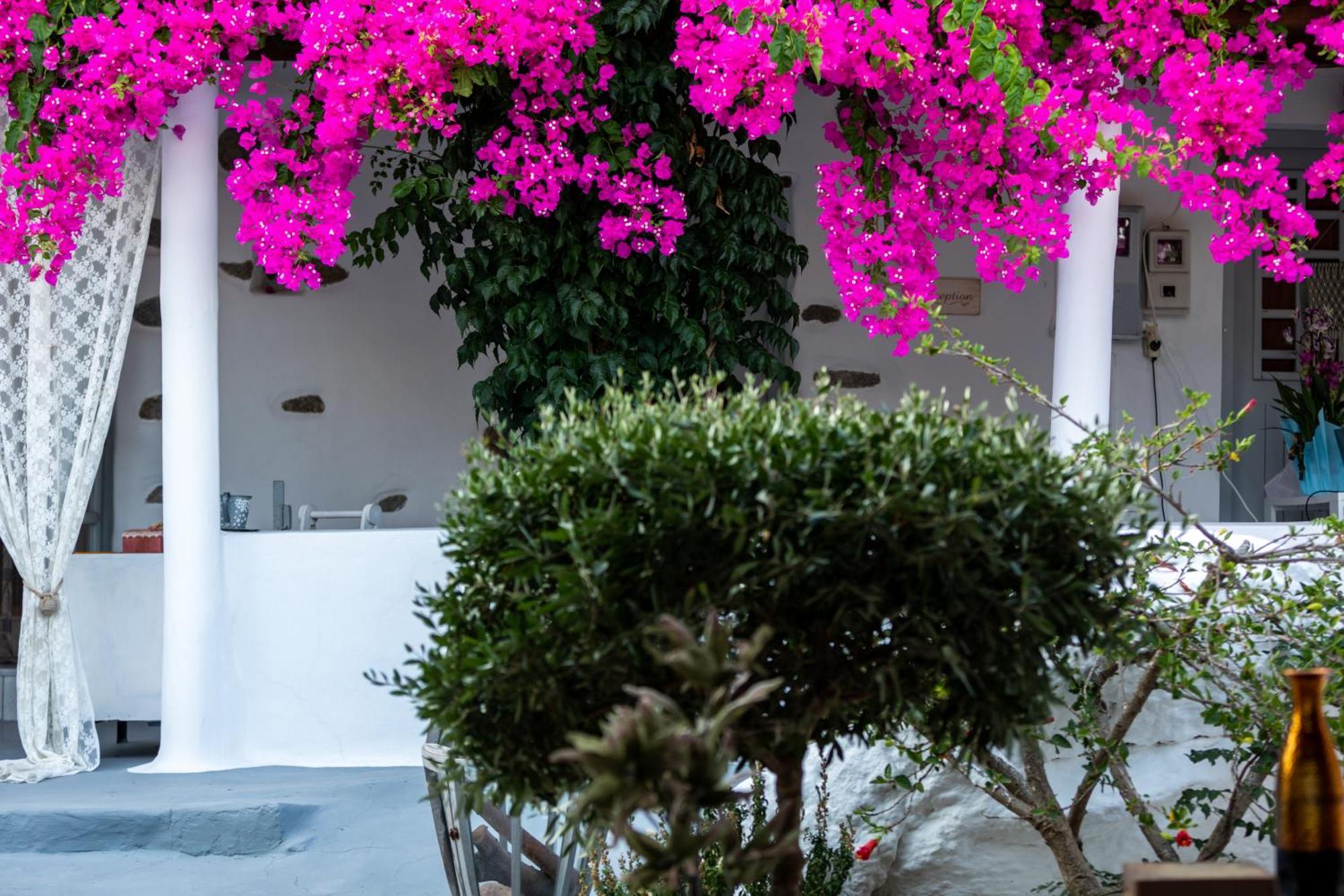 Sunrock Suites Stelida  Dış mekan fotoğraf