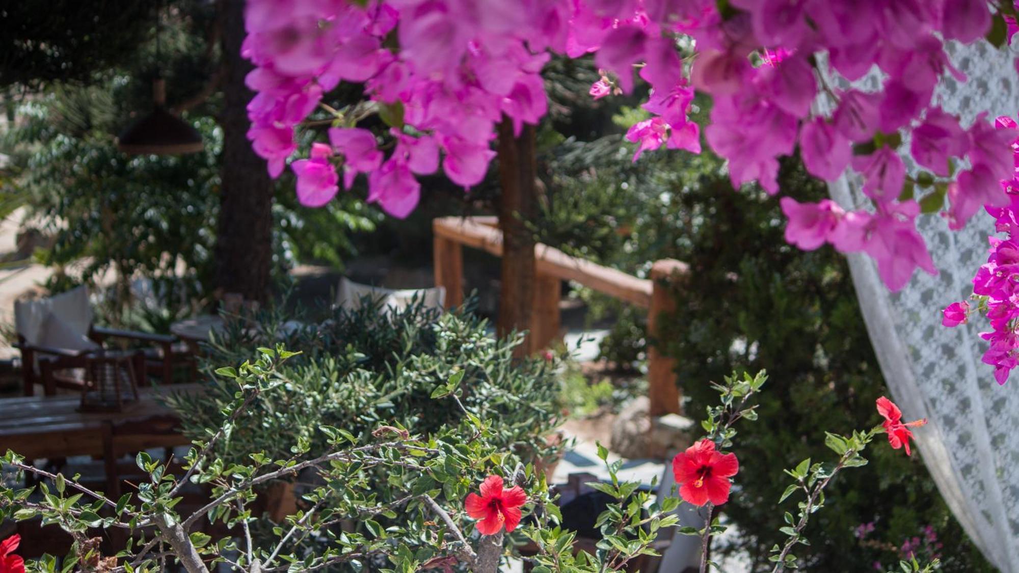 Sunrock Suites Stelida  Dış mekan fotoğraf